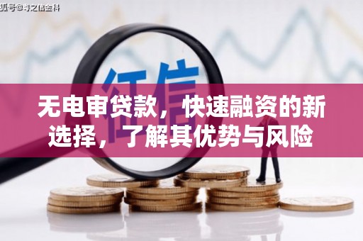 通渭无电审贷款，快速融资的新选择，了解其优势与风险