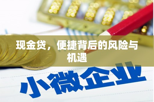 通渭现金贷，便捷背后的风险与机遇