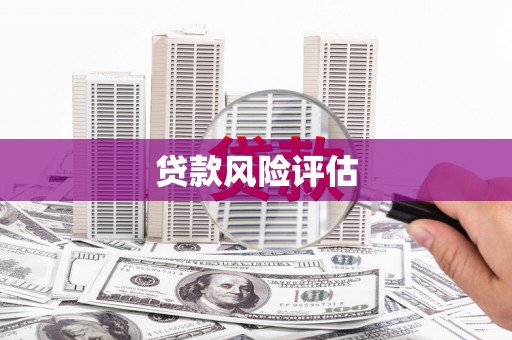 通渭贷款风险评估