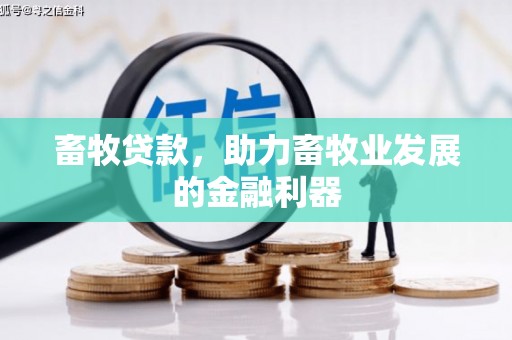 通渭畜牧贷款，助力畜牧业发展的金融利器