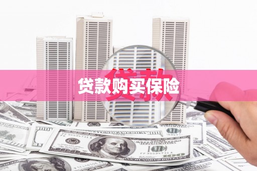 通渭贷款购买保险