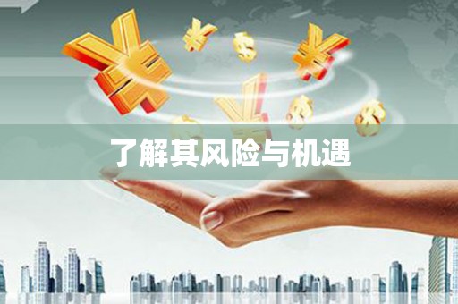 通渭了解其风险与机遇