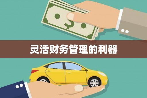 通渭灵活财务管理的利器