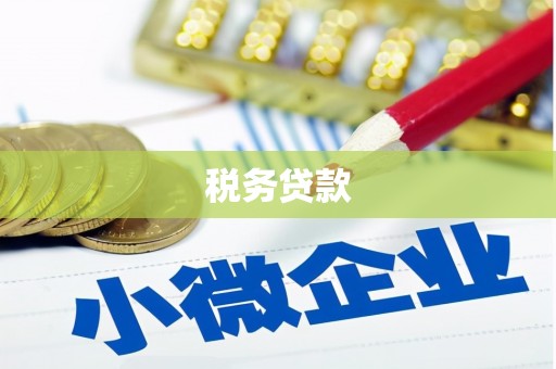 通渭税务贷款