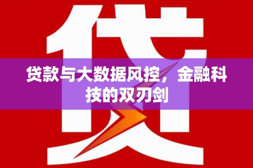 通渭贷款与大数据风控，金融科技的双刃剑