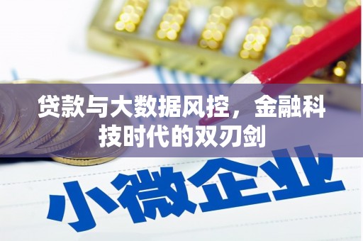通渭贷款与大数据风控，金融科技时代的双刃剑