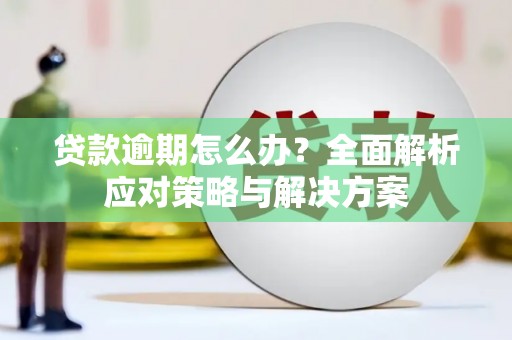 通渭贷款逾期怎么办？全面解析应对策略与解决方案
