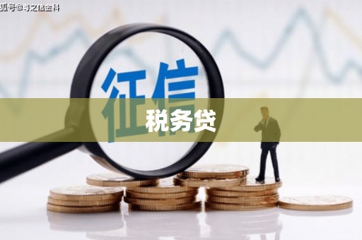 通渭税务贷