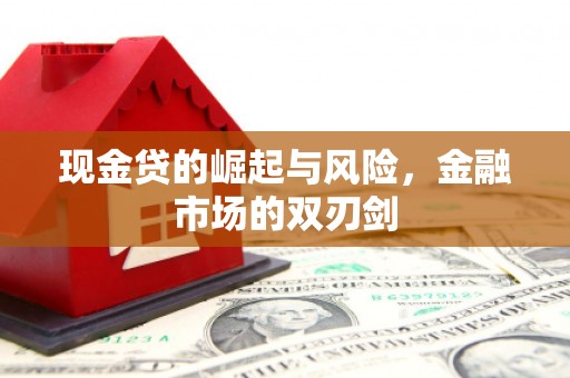 通渭现金贷的崛起与风险，金融市场的双刃剑