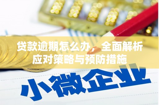 通渭贷款逾期怎么办，全面解析应对策略与预防措施