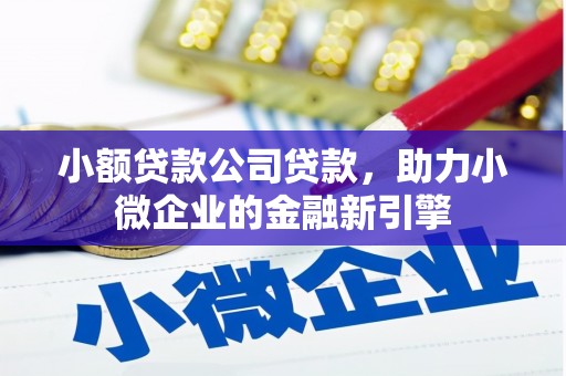通渭小额贷款公司贷款，助力小微企业的金融新引擎
