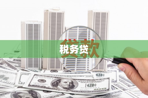 通渭税务贷