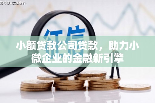 通渭小额贷款公司贷款，助力小微企业的金融新引擎