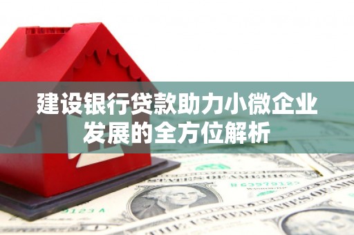 通渭建设银行贷款助力小微企业发展的全方位解析