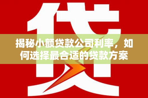 通渭揭秘小额贷款公司利率，如何选择最合适的贷款方案