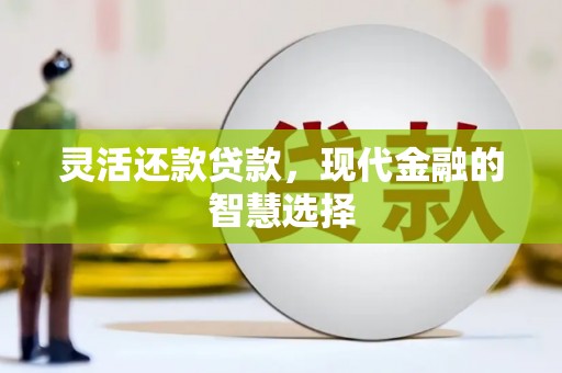 通渭灵活还款贷款，现代金融的智慧选择