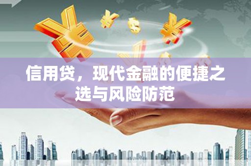 通渭信用贷，现代金融的便捷之选与风险防范