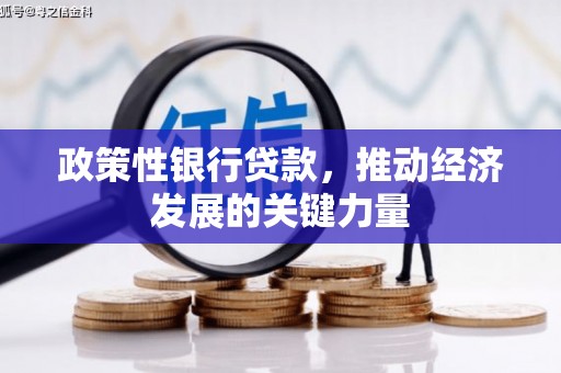 通渭政策性银行贷款，推动经济发展的关键力量