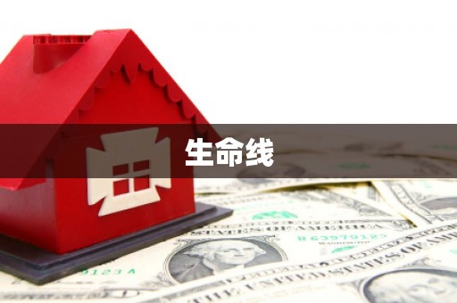 通渭生命线