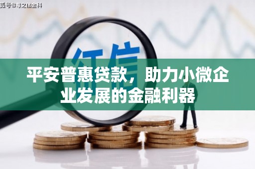 通渭平安普惠贷款，助力小微企业发展的金融利器