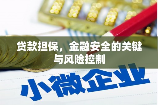 通渭贷款担保，金融安全的关键与风险控制