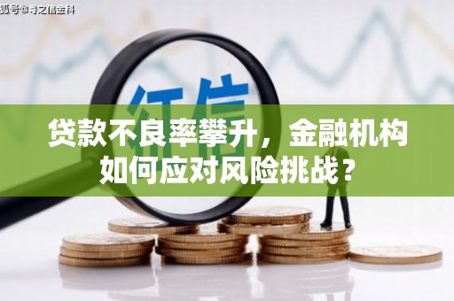 通渭贷款不良率攀升，金融机构如何应对风险挑战？