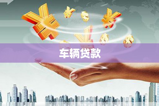 通渭车辆贷款